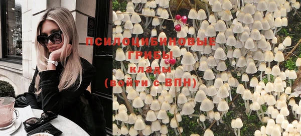 прущая мука Арсеньев