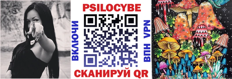 mega ссылки  наркошоп  Новоалександровск  Псилоцибиновые грибы ЛСД 